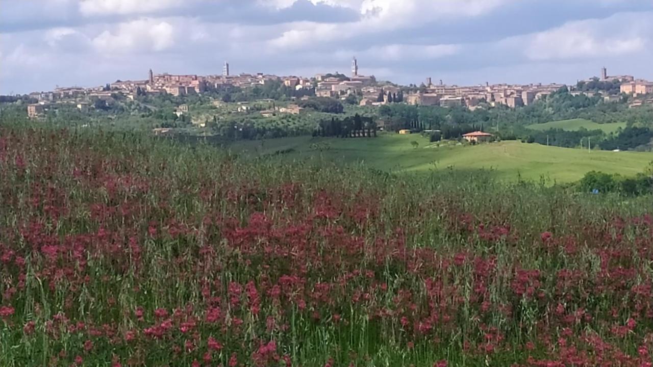 Dago Farmhouse Siena Luaran gambar